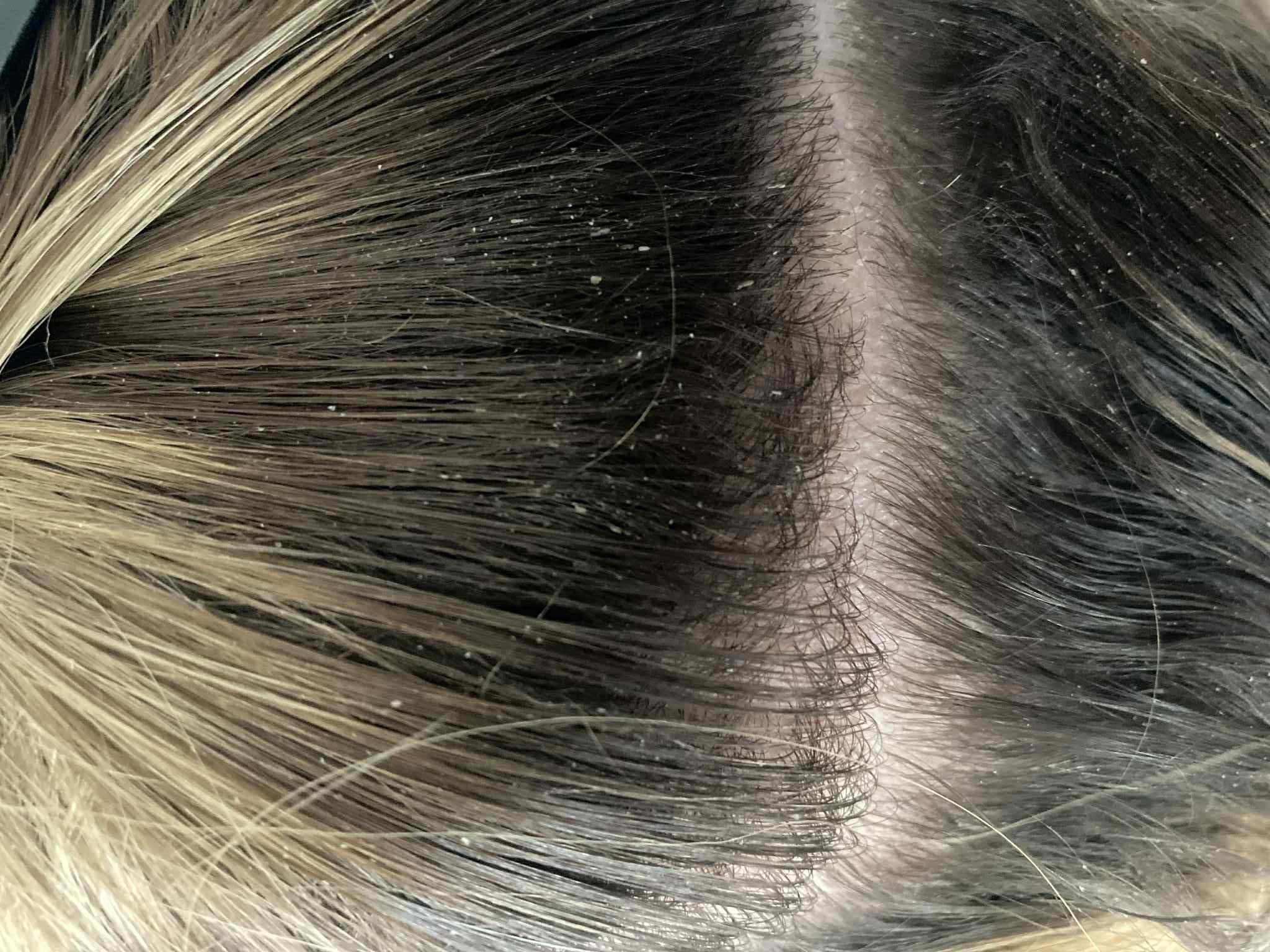 Close-up of hair with a visible color transition from dark to blonde.