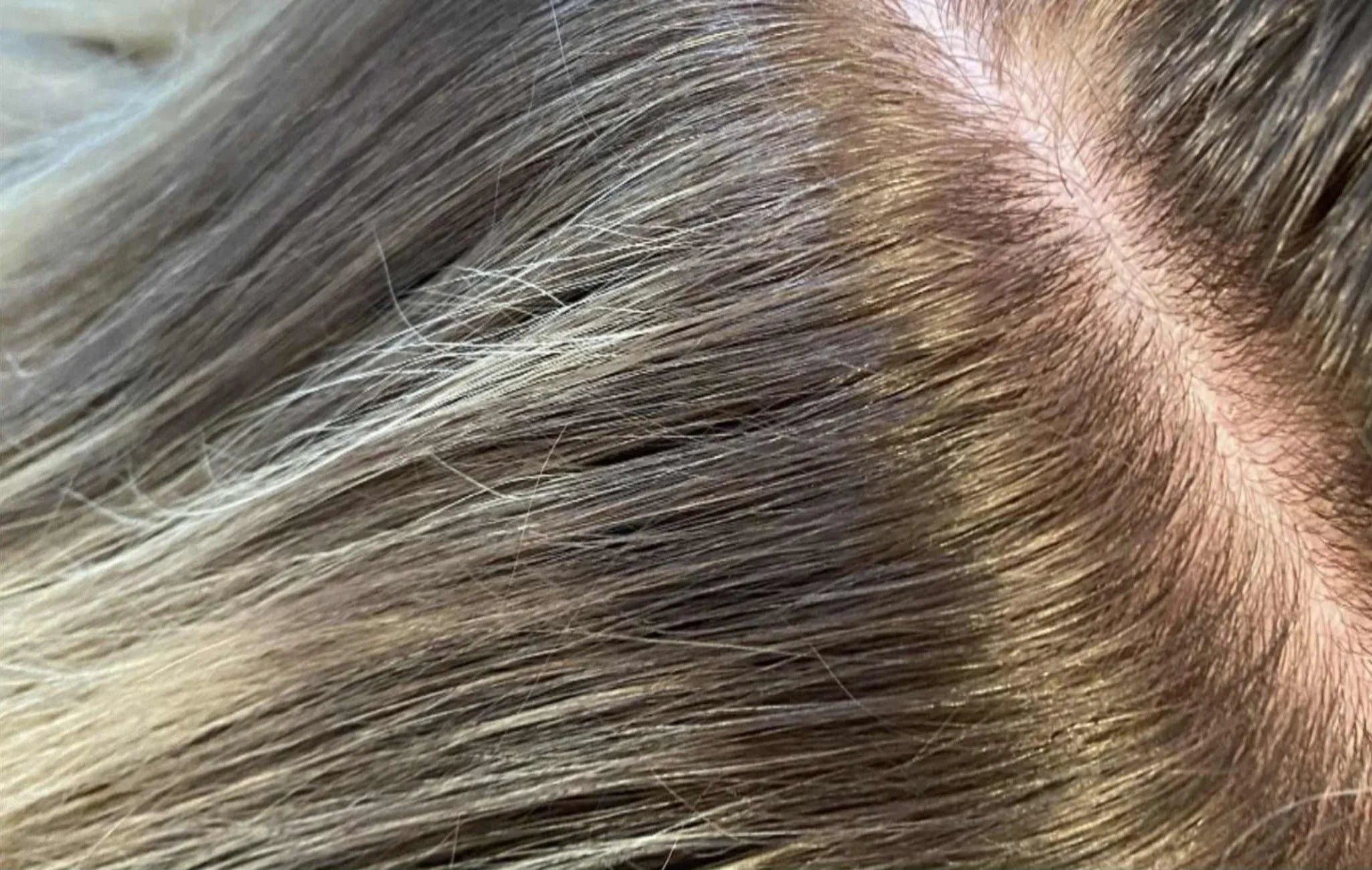 Close-up of hair with a gradient from brown to blonde.